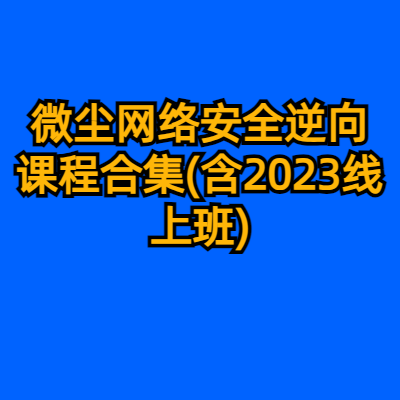 微尘网络安全逆向课程合集