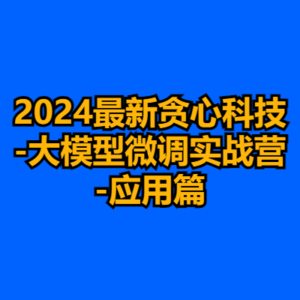 2024最新贪心科技-大模型微调实战营-应用篇-cc资源站