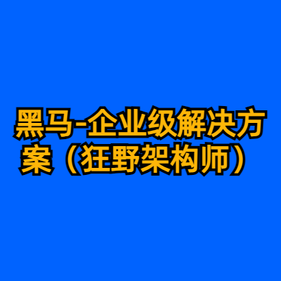 黑马-企业级解决方案（狂野架构师）