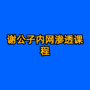 谢公子内网渗透课程-cc资源站