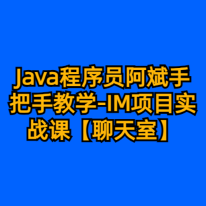 Java程序员阿斌手把手教学-IM项目实战课【聊天室】-cc资源站