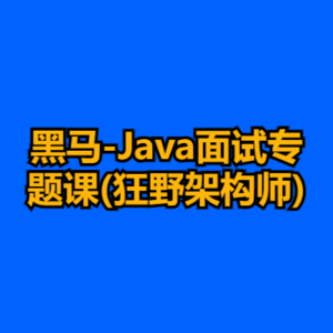 黑马-Java面试专题课(狂野架构师)-cc资源站