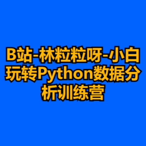 B站-林粒粒呀-小白玩转Python数据分析训练营-cc资源站
