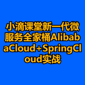 小滴课堂新一代微服务全家桶AlibabaCloud+SpringCloud实战-cc资源站