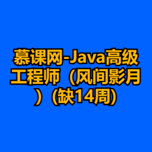 慕课网-Java高级工程师（风间影月）(缺14周)-cc资源站