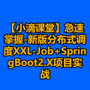 【小滴课堂】急速掌握-新版分布式调度XXL-Job+SpringBoot2.X项目实战-cc资源站