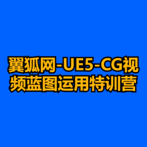 翼狐网-UE5-CG视频蓝图运用特训营-cc资源站