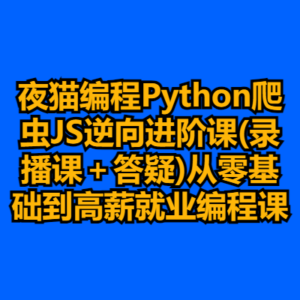 夜猫编程Python爬虫JS逆向进阶课(录播课＋答疑)从零基础到高薪就业编程课-cc资源站