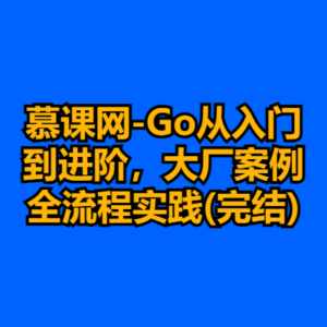 慕课网-Go从入门到进阶，大厂案例全流程实践(完结)-cc资源站