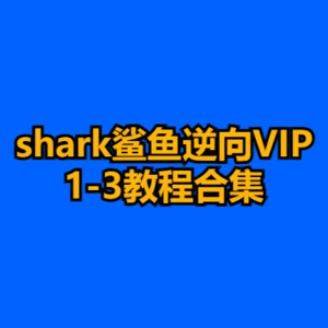 shark鲨鱼逆向VIP1-3教程合集-cc资源站