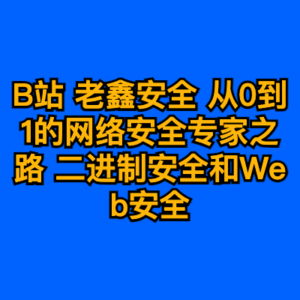 B站 老鑫安全 从0到1的网络安全专家之路 二进制安全和Web安全-cc资源站