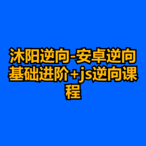 沐阳逆向-安卓逆向基础进阶+js逆向课程-cc资源站