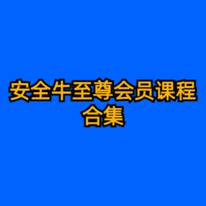 安全牛至尊会员课程合集-cc资源站