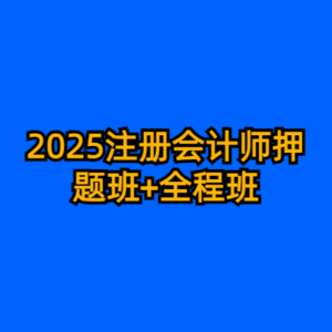 2025注册会计师押题班+全程班-cc资源站