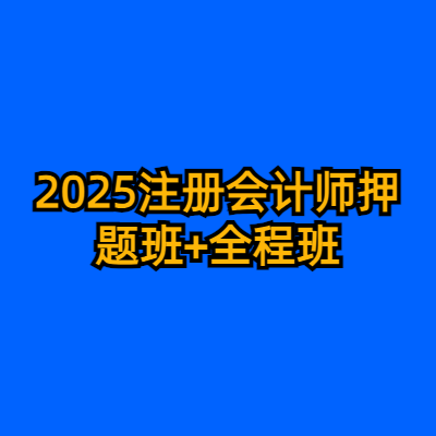 2025注册会计师押题班+全程班
