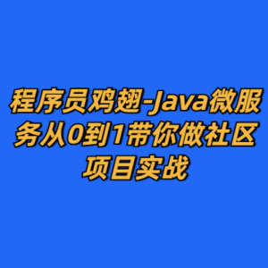 程序员鸡翅-Java微服务从0到1带你做社区项目实战-cc资源站