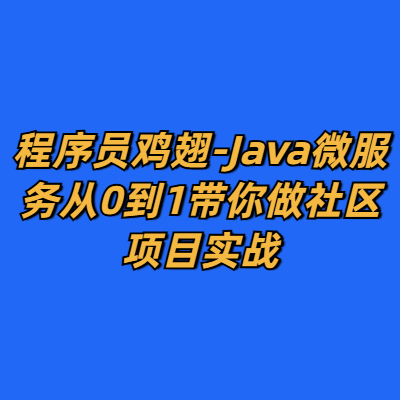 程序员鸡翅-Java微服务从0到1带你做社区项目实战