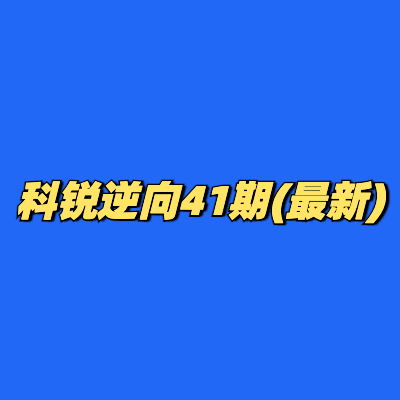 科锐逆向41期(最新)