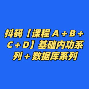 抖码【课程 A + B + C + D】基础内功系列 + 数据库系列-cc资源站