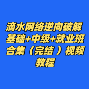 滴水网络逆向破解 基础+中级+就业班合集（完结 ）视频教程-cc资源站