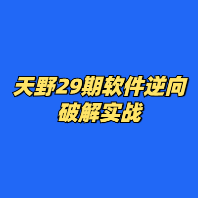 天野29期软件逆向破解实战