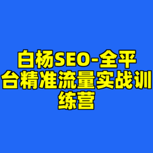 白杨SEO-全平台精准流量实战训练营-cc资源站