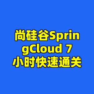 尚硅谷SpringCloud 7小时快速通关-cc资源站