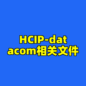 HCIP-datacom相关文件-cc资源站