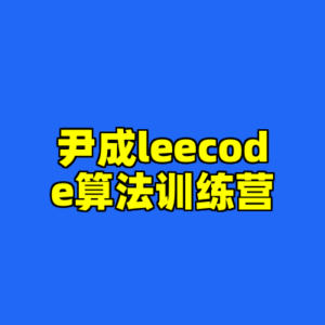 尹成leecode算法训练营-cc资源站