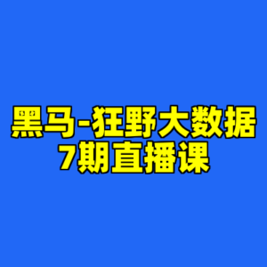 黑马-狂野大数据7期直播课-cc资源站
