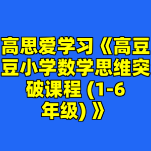 高思爱学习《高豆豆小学数学思维突破课程 (1-6年级) 》-cc资源站
