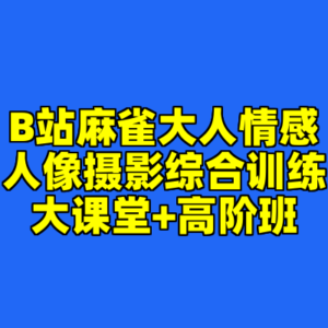 B站麻雀大人情感人像摄影综合训练大课堂+高阶班-cc资源站