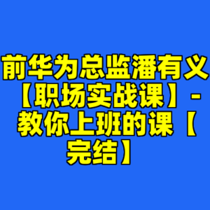 前华为总监潘有义【职场实战课】- 教你上班的课【完结】-cc资源站