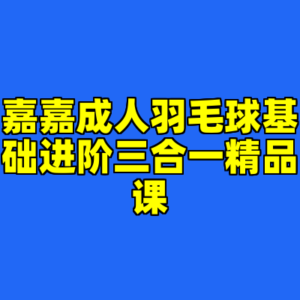 嘉嘉成人羽毛球基础进阶三合一精品课-cc资源站