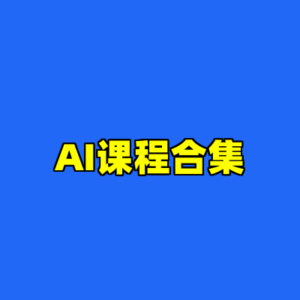 AI课程合集-cc资源站