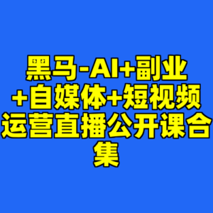 黑马-AI+副业+自媒体+短视频运营直播公开课合集-cc资源站