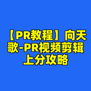 【PR教程】向天歌-PR视频剪辑上分攻略-cc资源站