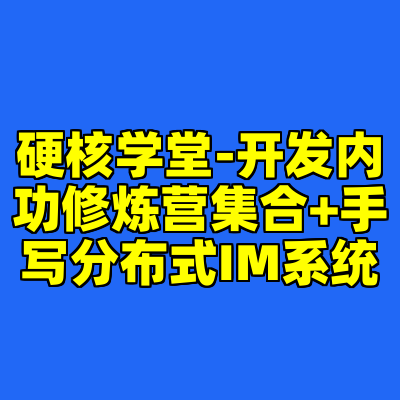 硬核学堂-开发内功修炼营集合+手写分布式IM系统