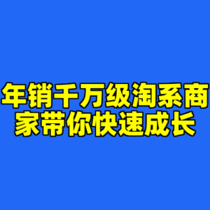 年销千万级淘系商家带你快速成长-cc资源站