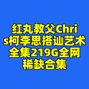 红丸教父Chris柯李思搭讪艺术全集219G全网稀缺合集-cc资源站