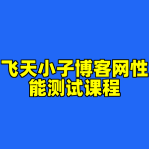 飞天小子博客网性能测试课程-cc资源站