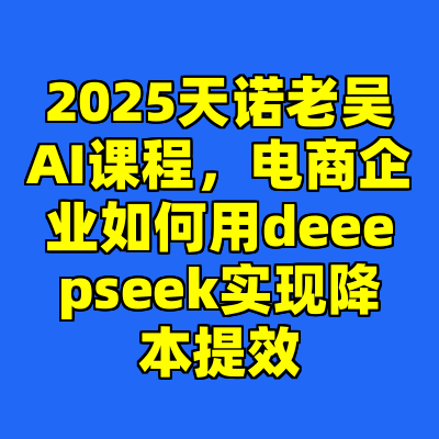2025天诺老吴AI课程，电商企业如何用deeepseek实现降本提效