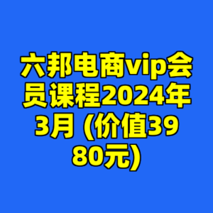 六邦电商vip会员课程2024年3月 (价值3980元)-cc资源站