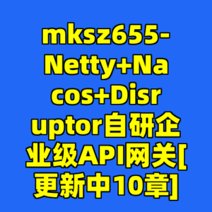 mksz655-Netty+Nacos+Disruptor自研企业级API网关[更新中10章]-cc资源站