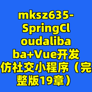 mksz635-SpringCloudalibaba+Vue开发仿社交小程序（完整版19章）-cc资源站
