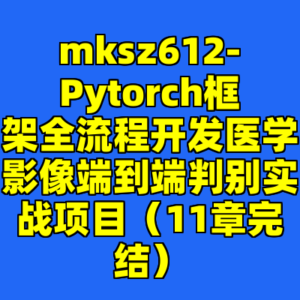 mksz612-Pytorch框架全流程开发医学影像端到端判别实战项目(11章完结)-cc资源站