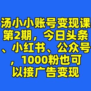 汤小小账号变现课第2期，今日头条、小红书、公众号，1000粉也可以接广告变现-cc资源站