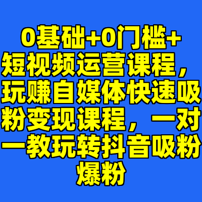 0基础+0门槛+短视频运营课程，玩赚自媒体快速吸粉变现课程，一对一教玩转抖音吸粉爆粉