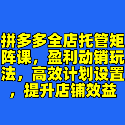 拼多多全店托管矩阵课，盈利动销玩法，高效计划设置，提升店铺效益