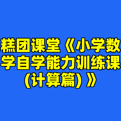 糕团课堂《小学数学自学能力训练课 (计算篇) 》
